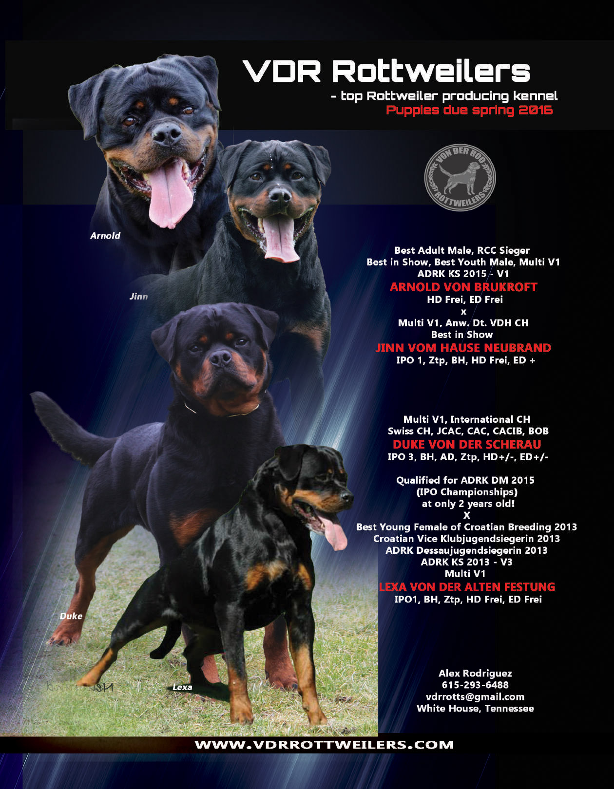 Arnold von Brukroft x Jinn vom Hause Neubrand, Duke von der Scherau x Lexa von der Alten Festung