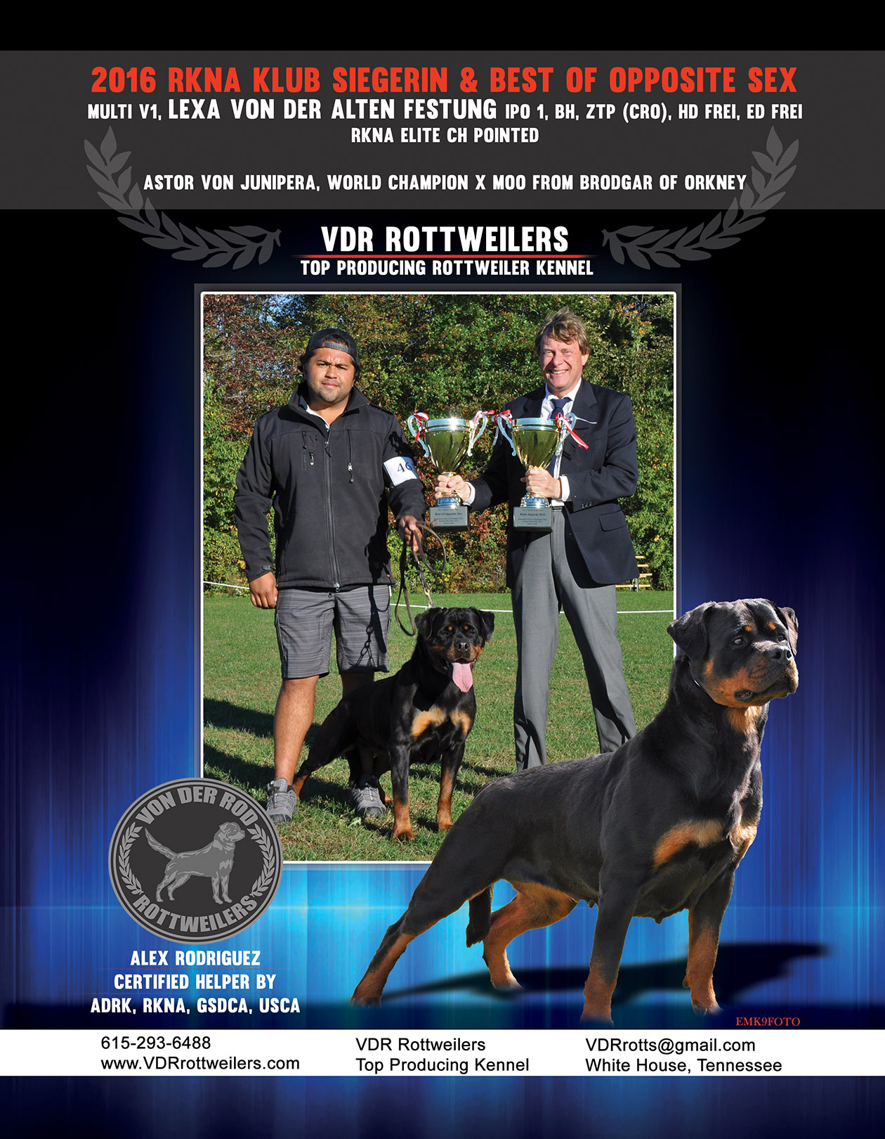 Lexa von der Alten Festung 2016 RKNA Klub Siegerin