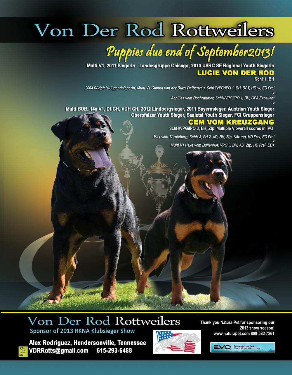 Cem vom Kreuzgang puppies