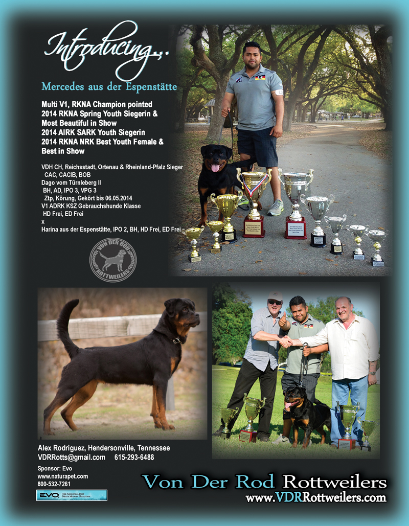 Mercedes aus der Espenstatte