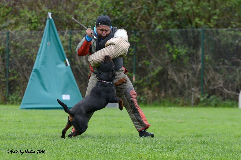 Alex Rodriguez certified ADRK helper in Germany