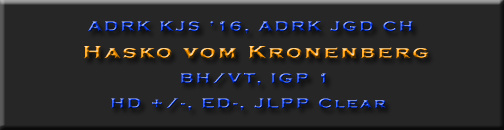 Hasko vom Kronenberg