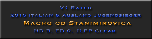 Macho od Stanimirovica