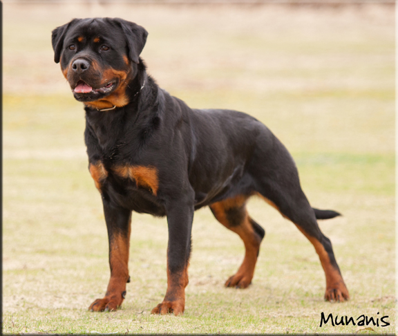 Cinzia von der berg Weibertreu