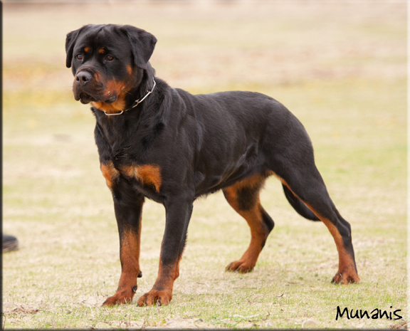 Cinzia von der berg Weibertreu
