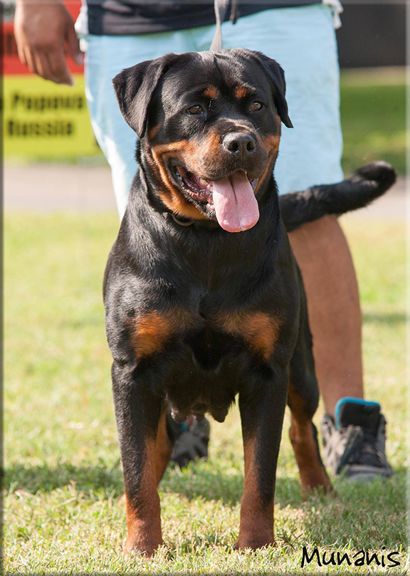 Cinzia von der berg Weibertreu