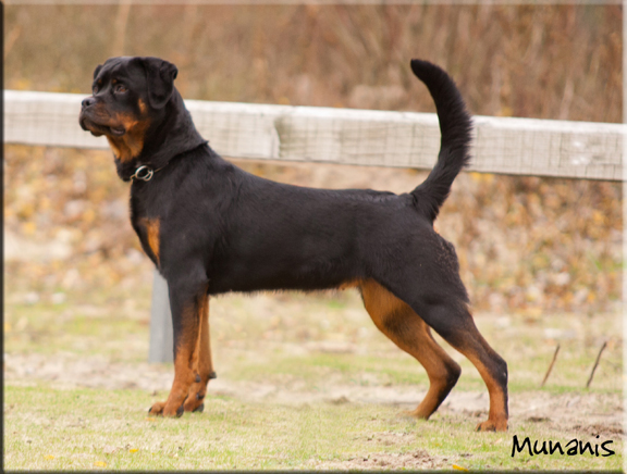 Mercedes aus der Espenstatte