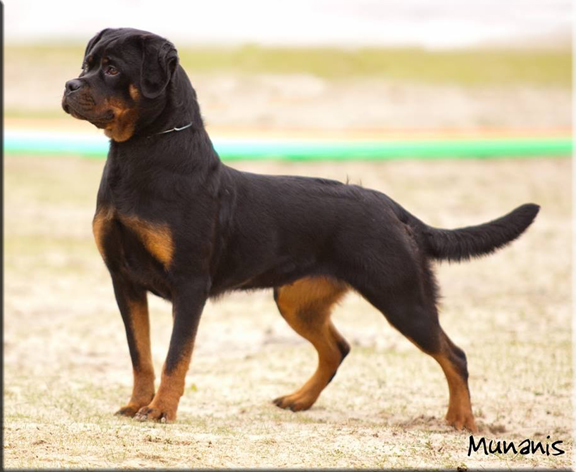 MERCEDES AUS DER ESPENSTATTE