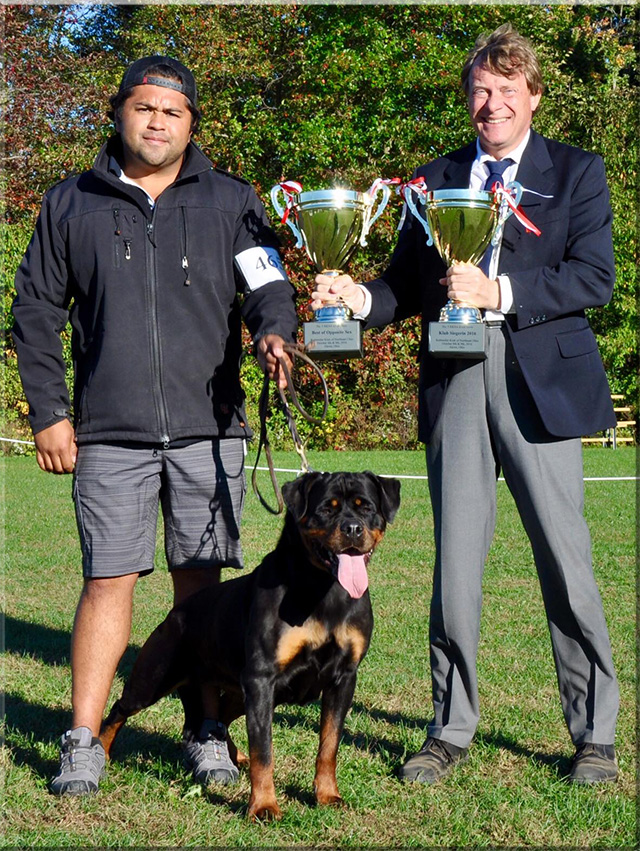 Lexa von der Alten Festung