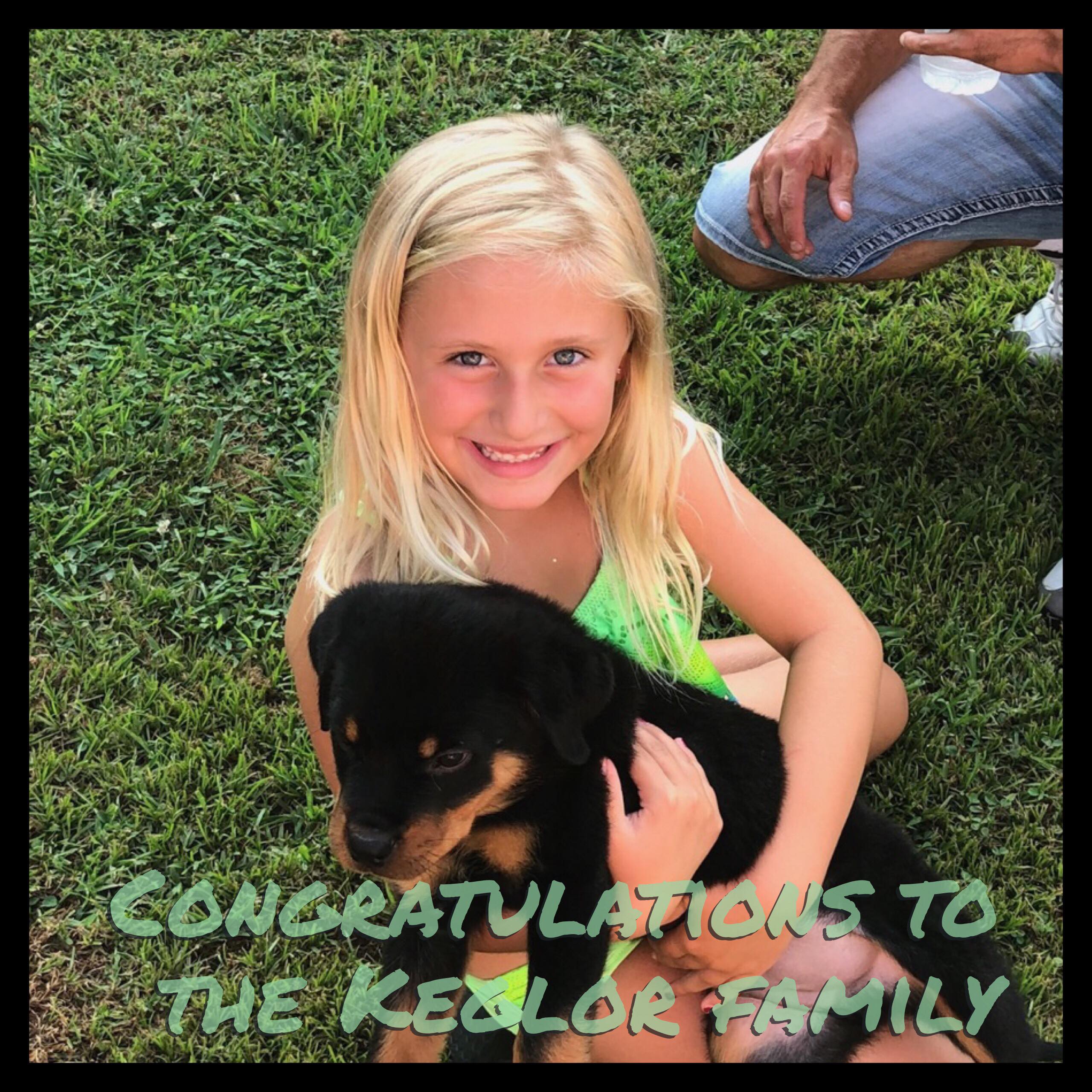 Jeff vom Hause Neubrand x Lexa von der Alten Festung